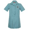 Dress - kristin check